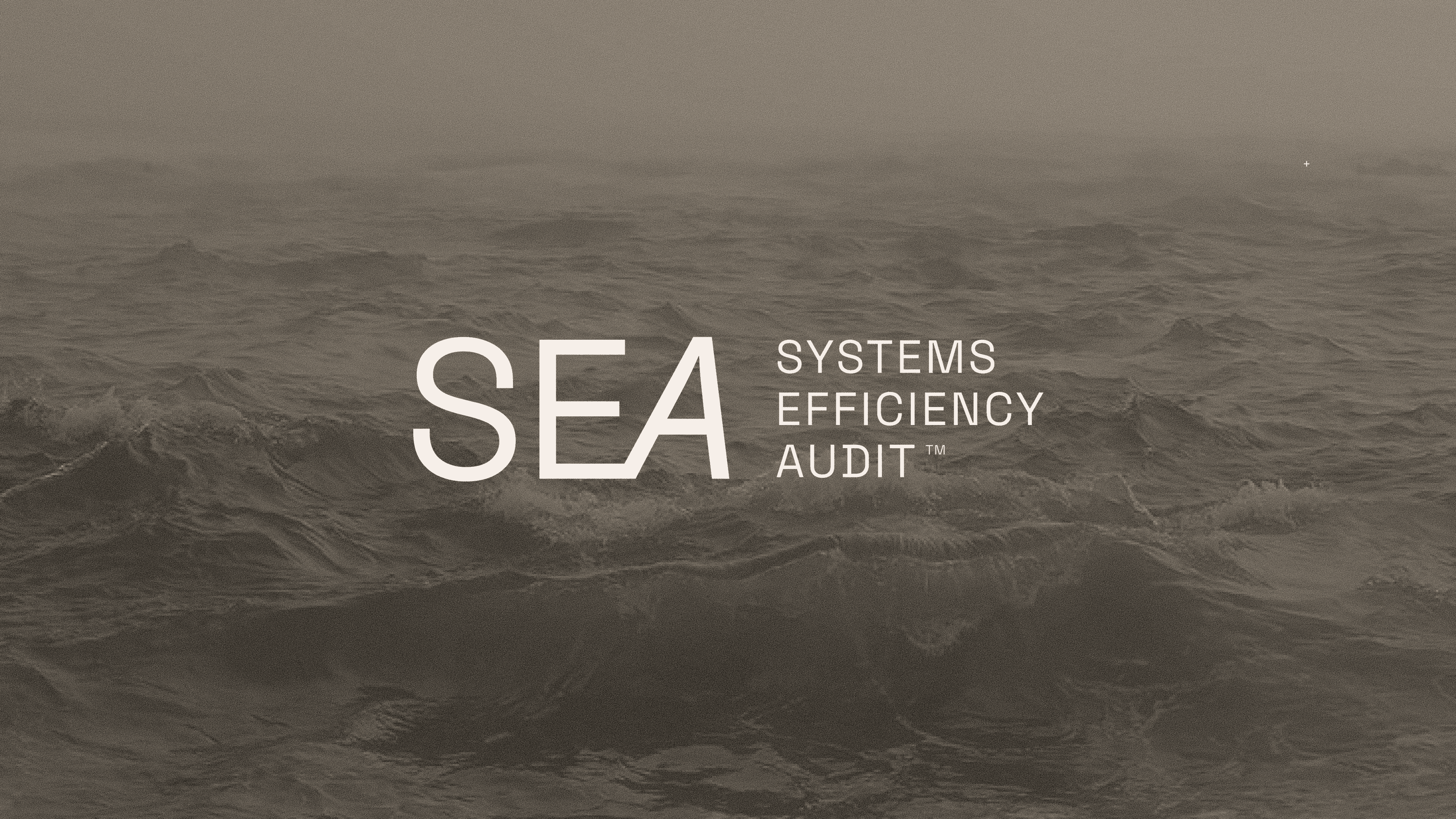 SYSTEMS EFFICIENCY AUDIT